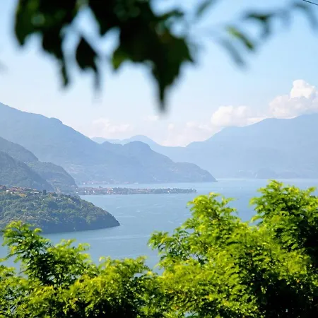 Апартаменты Adele