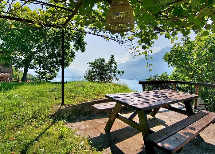 Adele Граведона