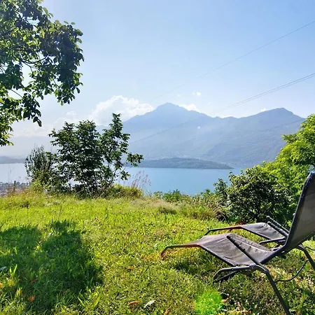 Adele 그라베도나